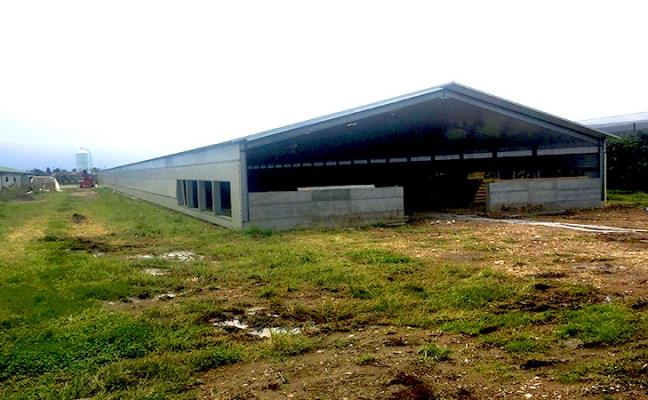 Impresa commerciale Bassona - Verona