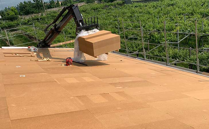 Lenguin - San Pietro in Cariano