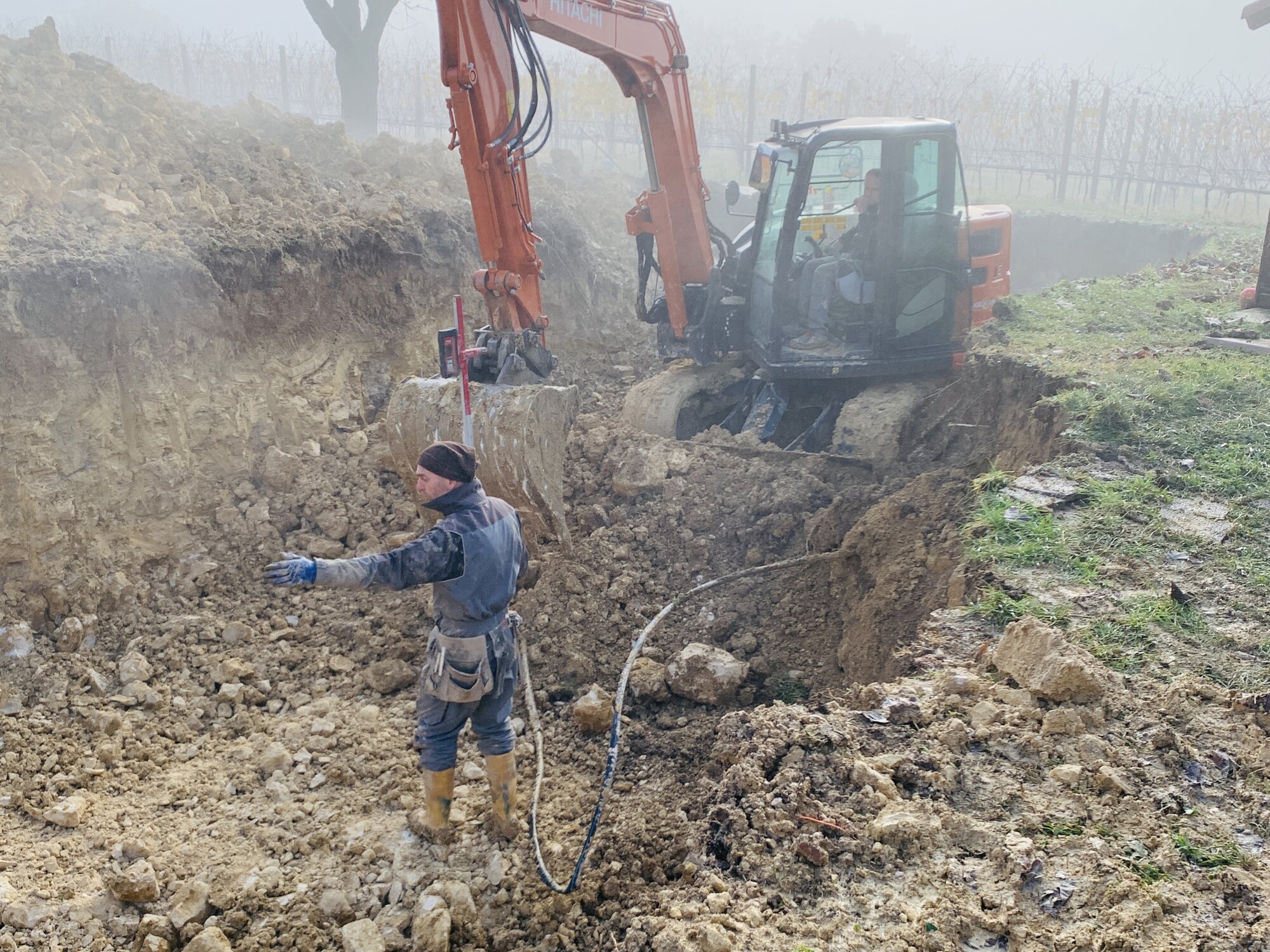 Loc. drago - San Pietro in Cariano