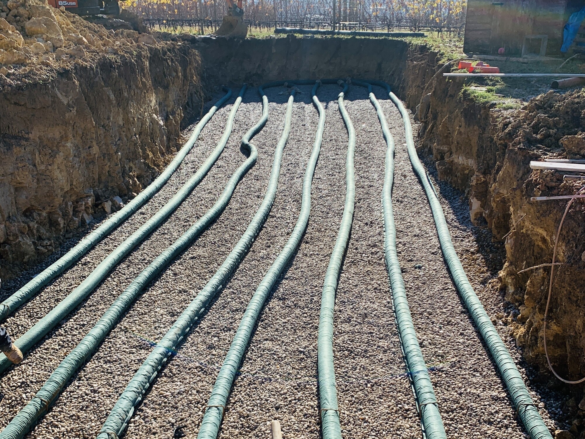Loc. drago - San Pietro in Cariano