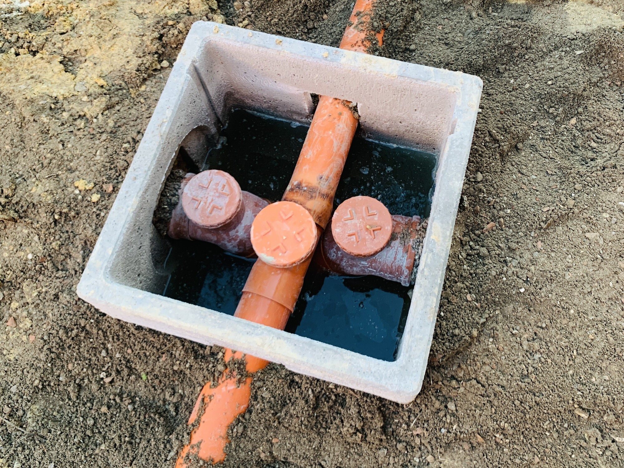 Loc. drago - San Pietro in Cariano