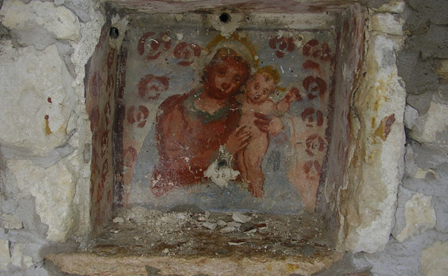 Olmo - Marano di Valpolicella