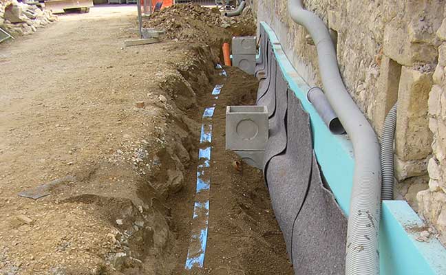 Olmo - Marano di Valpolicella