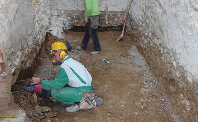 Olmo - Marano di Valpolicella