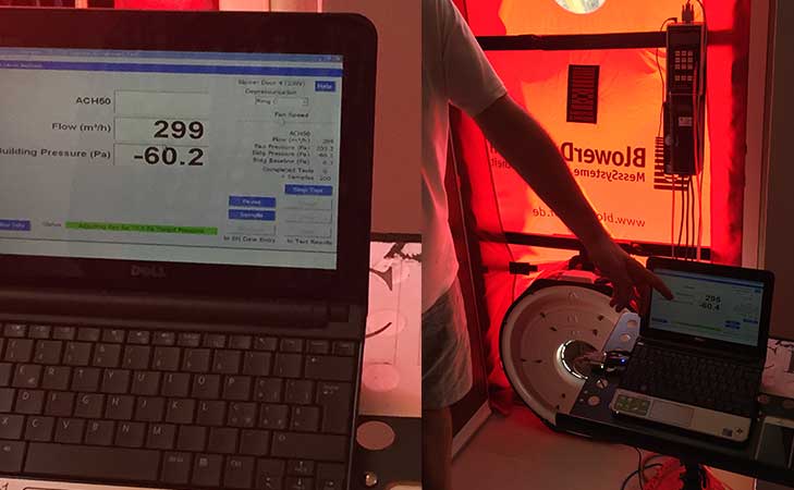 Olmo - Marano di Valpolicella