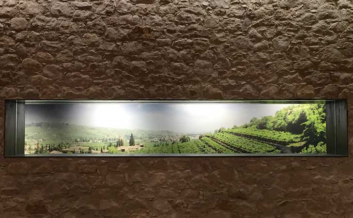 Lenguin - San Pietro in Cariano